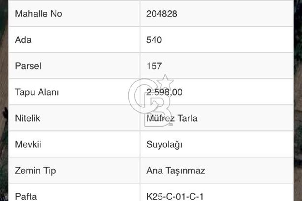 Afyon Çobanlar'da Satılık Tarla