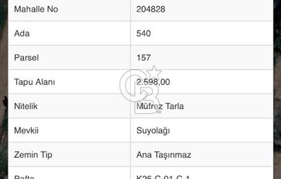 Afyon Çobanlar'da Satılık Tarla