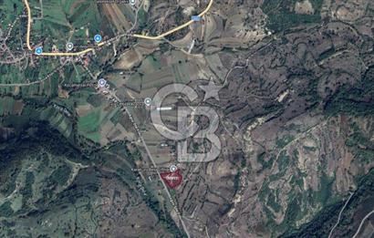 KANDIRA AKÇAOVA AĞVA-ŞİLE YOLUNA CEPHE 8.107 M2 ÇİFTLİK-TARLA