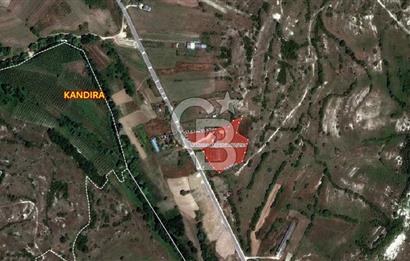 KANDIRA AKÇAOVA AĞVA-ŞİLE YOLUNA CEPHE 8.107 M2 ÇİFTLİK-TARLA