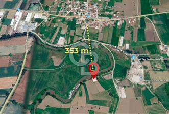 Bursa Mudanya Balabancık'ta 448,96 m² Müstakil Tapulu Tarla - 5 - 378097
