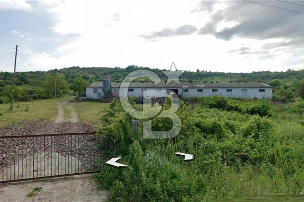 KANDIRA AKÇAOVA AĞVA-ŞİLE YOLUNA CEPHE 8.107 M2 ÇİFTLİK-TARLA