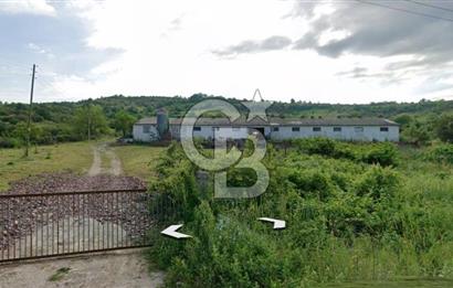 KANDIRA AKÇAOVA AĞVA-ŞİLE YOLUNA CEPHE 8.107 M2 ÇİFTLİK-TARLA