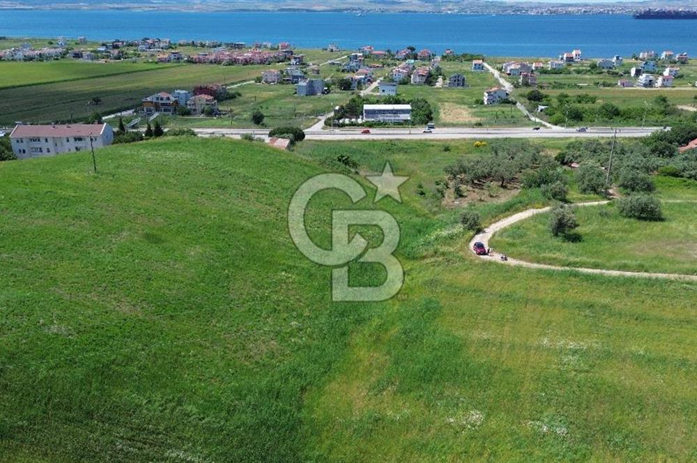 ÇANAKKALE LAPSEKİ ÇARDAK’TA BOĞAZ MANZARALI SATILIK ARSA