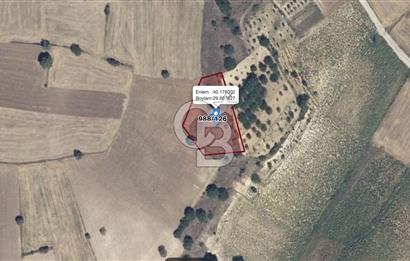 Bursa Yenişehir Osmaniye'de Satılık 2.892 m² Tarla