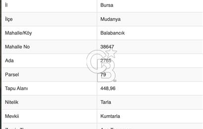 Bursa Mudanya Balabancık'ta 448,96 m² Müstakil Tapulu Tarla