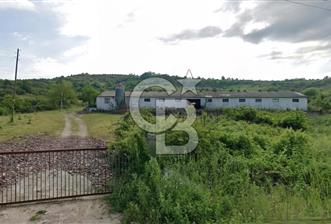 KANDIRA AKÇAOVA AĞVA-ŞİLE YOLUNA CEPHE 8.107 M2 ÇİFTLİK-TARLA - 1 - 378103