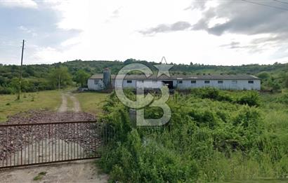 KANDIRA AKÇAOVA AĞVA-ŞİLE YOLUNA CEPHE 8.107 M2 ÇİFTLİK-TARLA