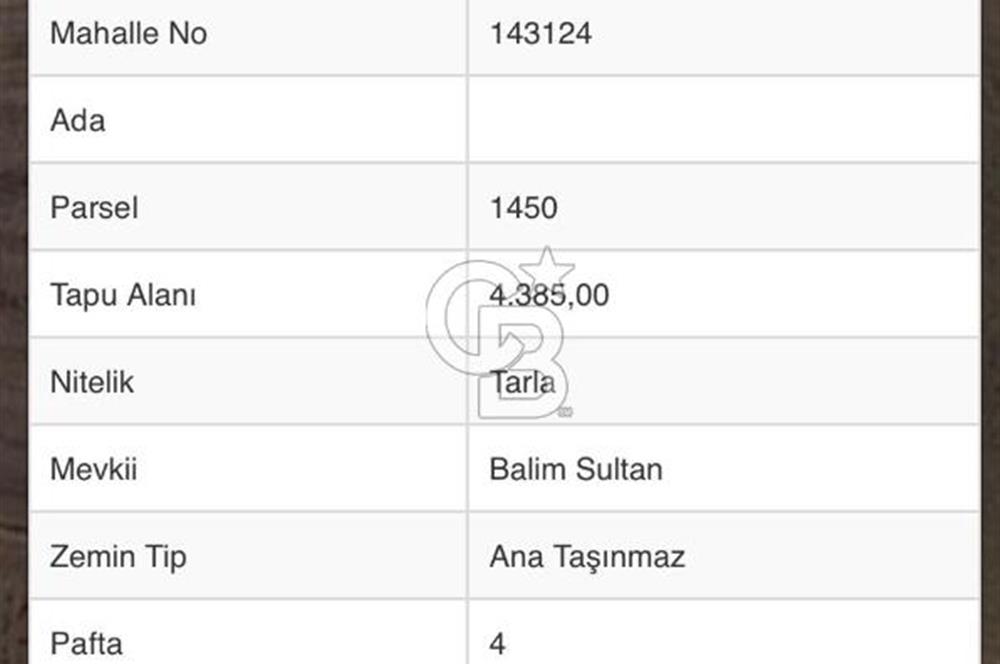 Afyon Çobanlar'da Satılık Tarla