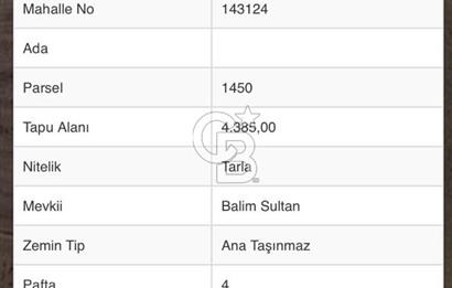 Afyon Çobanlar'da Satılık Tarla