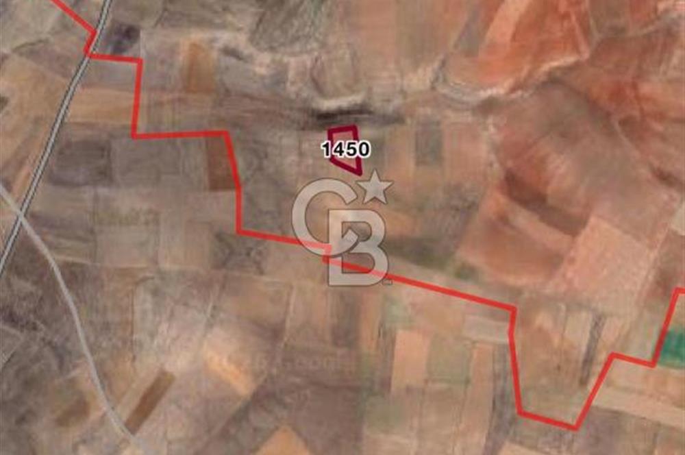Afyon Çobanlar'da Satılık Tarla