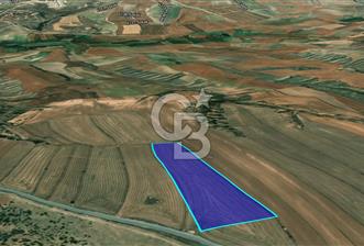 ETİMESGUT BALIKUYUMCU ARAÇ TAKASINA UYGUN SATILIK HİSSE - 4 - 378166