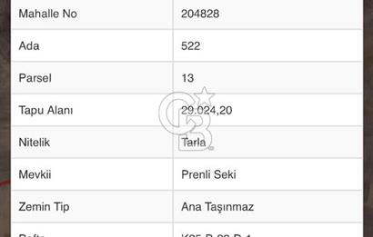 Afyon Çobanlar'da Satılık 29 Dönüm Tarla