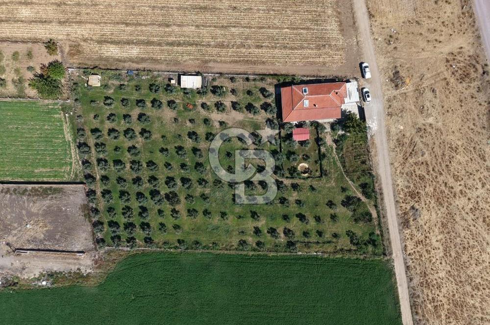 AYVALIK ALTINOVADA PLAJA 1 KM 5.035M² ZEYTİNLİK VE ÇİFTLİK EVİ