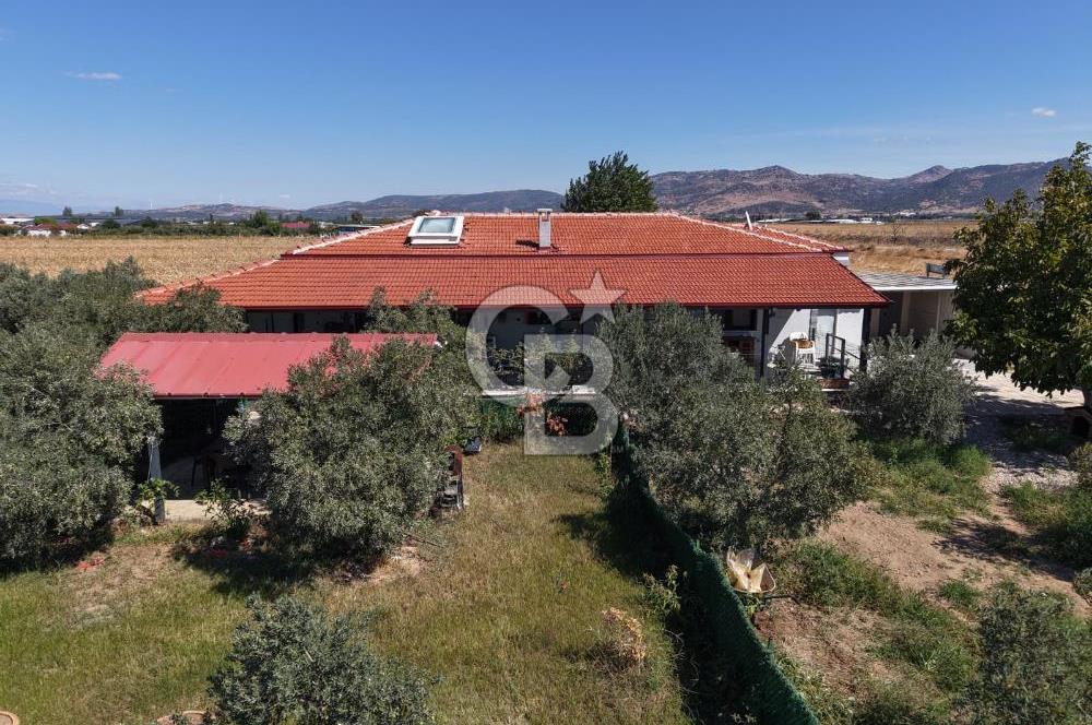 AYVALIK ALTINOVADA PLAJA 1 KM 5.035M² ZEYTİNLİK VE ÇİFTLİK EVİ