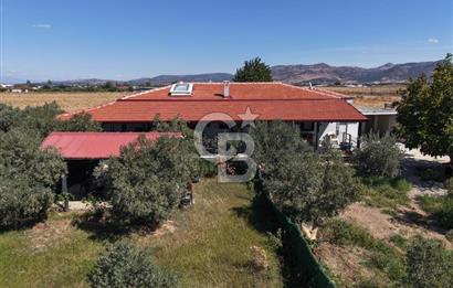 AYVALIK ALTINOVADA PLAJA 1 KM 5.035M² ZEYTİNLİK VE ÇİFTLİK EVİ