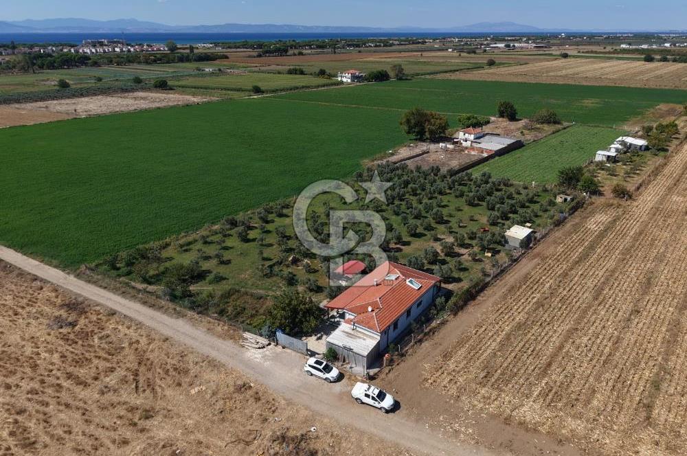 AYVALIK ALTINOVADA PLAJA 1 KM 5.035M² ZEYTİNLİK VE ÇİFTLİK EVİ