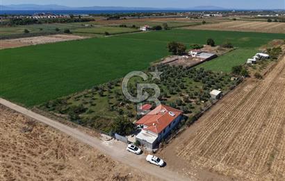AYVALIK ALTINOVADA PLAJA 1 KM 5.035M² ZEYTİNLİK VE ÇİFTLİK EVİ