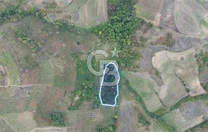KANDIRA AHMETHACILAR MEVKİ SATILIK 4.921 M2 TARLA