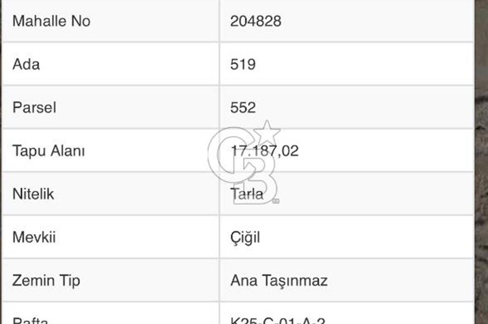 Afyon Çobanlar'da Satılık 17 Dönüm Tarla