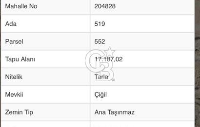 Afyon Çobanlar'da Satılık 17 Dönüm Tarla