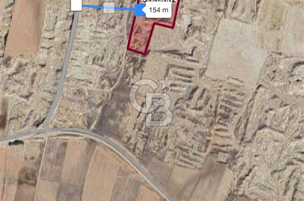 Afyon Çobanlar'da Satılık 17 Dönüm Tarla