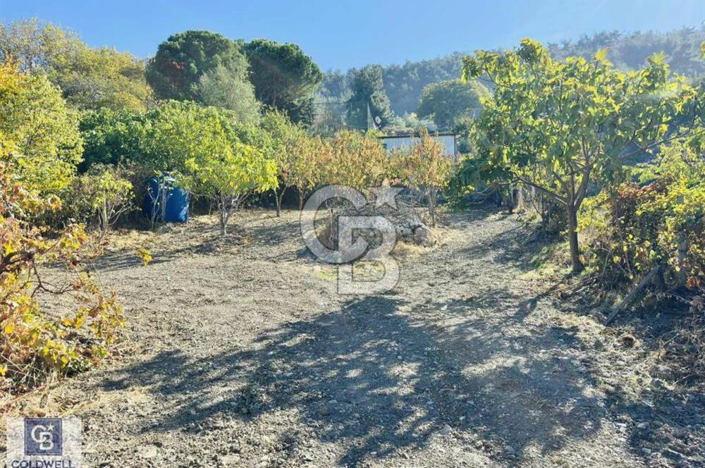 MANİSA GÖKÇELER KÖY İÇİ SATILIK 1034 M2 BAĞ VE BAĞ EVİ