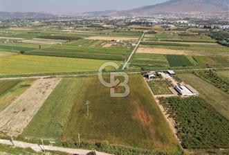 TÜRKELLİ'DE ÇANAKKALE YOLUNA YAKIN MÜSTAKİL TAPU SATILIK TARLA - 1 - 378149