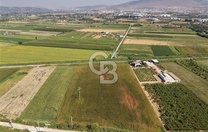 TÜRKELLİ'DE ÇANAKKALE YOLUNA YAKIN MÜSTAKİL TAPU SATILIK TARLA
