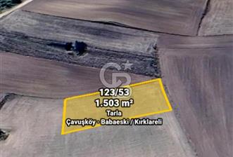 BABAESKİ ÇAVUŞKÖY DE TEK TAPULU 1503 MT. TARLA - 1 - 378237
