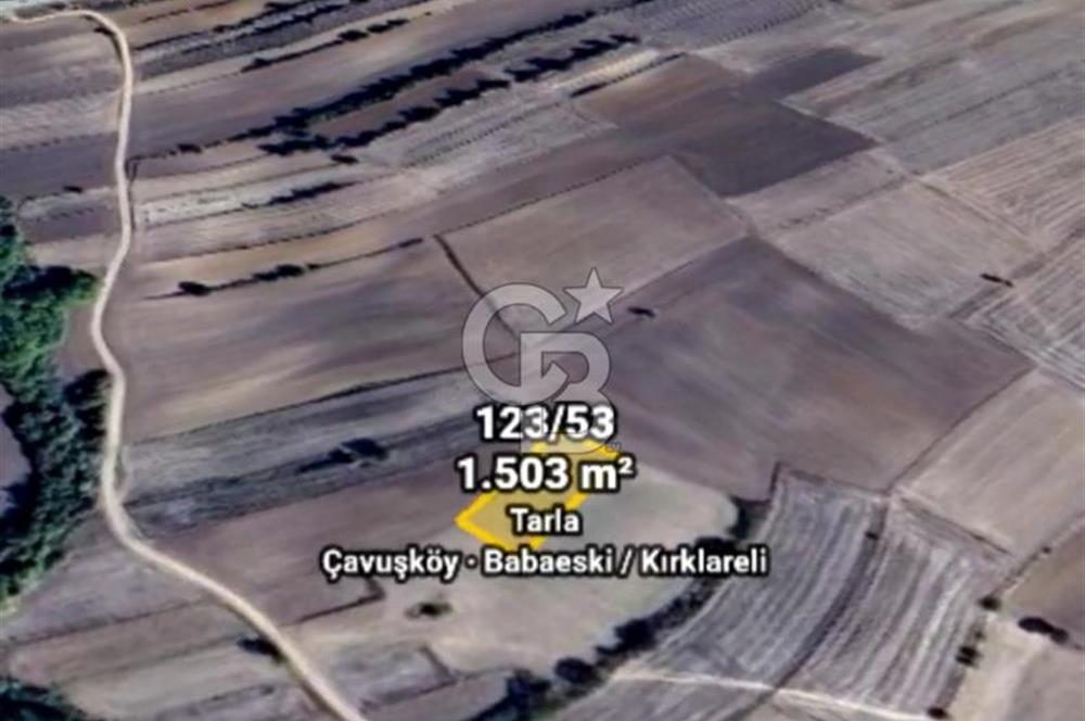 BABAESKİ ÇAVUŞKÖY DE TEK TAPULU 1503 MT. TARLA