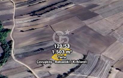 BABAESKİ ÇAVUŞKÖY DE TEK TAPULU 1503 MT. TARLA