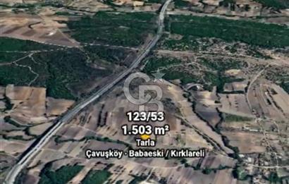 BABAESKİ ÇAVUŞKÖY DE TEK TAPULU 1503 MT. TARLA