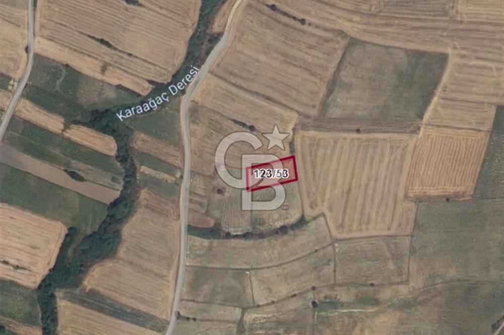 BABAESKİ ÇAVUŞKÖY DE TEK TAPULU 1503 MT. TARLA