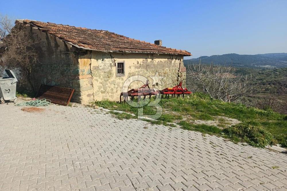 MANİSA SARUHANLI ŞATIRLARDA 875 M² SATILIK EV VE ZEYTİNLİK