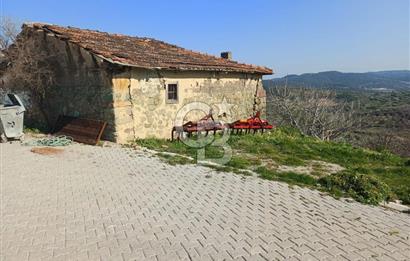 MANİSA SARUHANLI ŞATIRLARDA 875 M² SATILIK EV VE ZEYTİNLİK