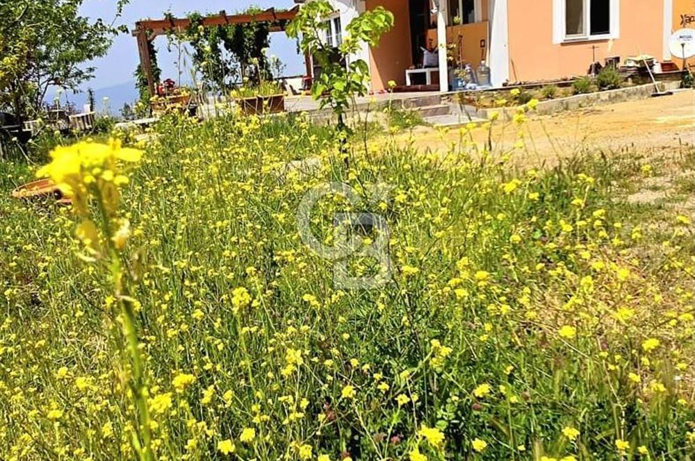 TURGUTALPTE DOĞAYLA İÇ İÇE, EŞSİZ MANZARALI, EVLİ SATILIK TARLA