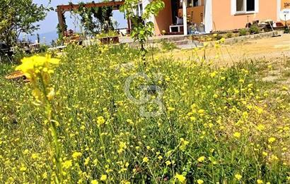 TURGUTALPTE DOĞAYLA İÇ İÇE, EŞSİZ MANZARALI, EVLİ SATILIK TARLA