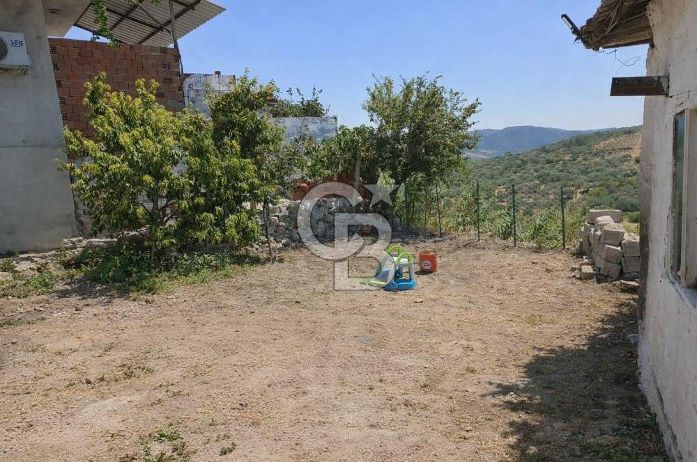 MANİSA SARUHANLI ŞATIRLARDA 875 M² SATILIK EV VE ZEYTİNLİK