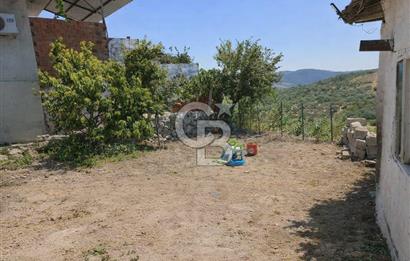 MANİSA SARUHANLI ŞATIRLARDA 875 M² SATILIK EV VE ZEYTİNLİK