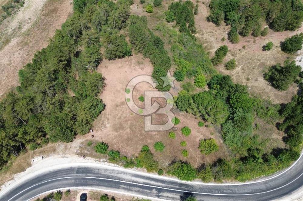 TARAKLI PİRLER KÖYÜNDE 3.666 M² YATIRIMLIK FIRSAT TARLA