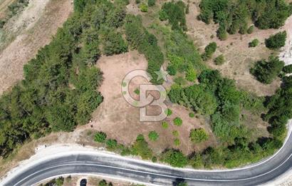 TARAKLI PİRLER KÖYÜNDE 3.666 M² YATIRIMLIK FIRSAT TARLA