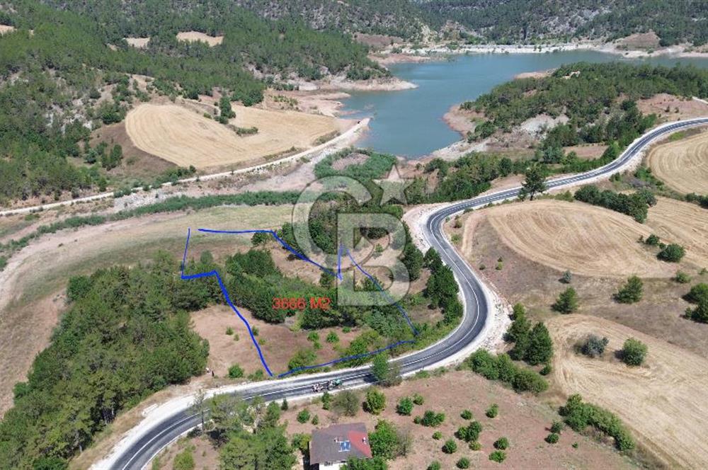 TARAKLI PİRLER KÖYÜNDE 3.666 M² YATIRIMLIK FIRSAT TARLA