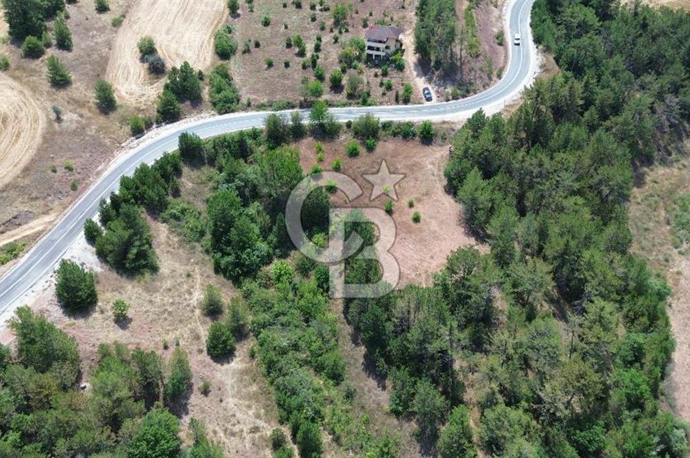 TARAKLI PİRLER KÖYÜNDE 3.666 M² YATIRIMLIK FIRSAT TARLA