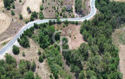 TARAKLI PİRLER KÖYÜNDE 3.666 M² YATIRIMLIK FIRSAT TARLA