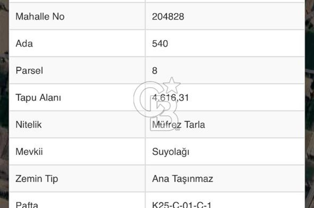 Afyon Çobanlar'da Satılık 4,5 Dönüm Tarla
