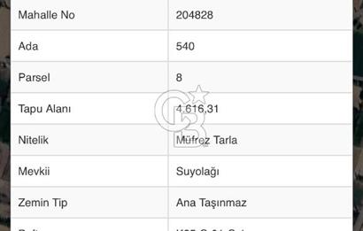Afyon Çobanlar'da Satılık 4,5 Dönüm Tarla