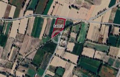 Afyon Çobanlar'da Satılık 4,5 Dönüm Tarla