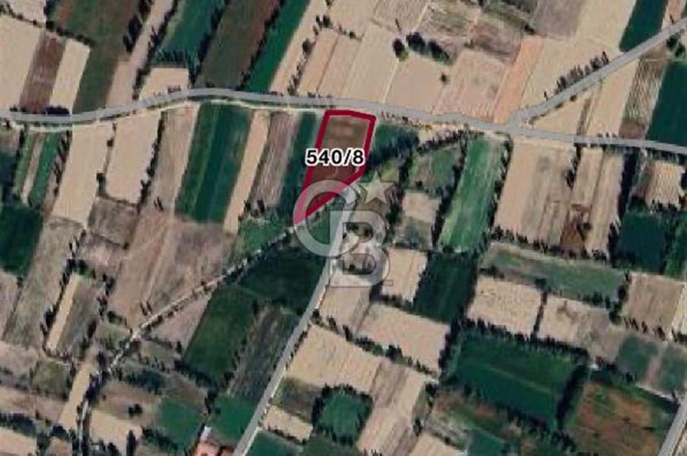 Afyon Çobanlar'da Satılık 4,5 Dönüm Tarla