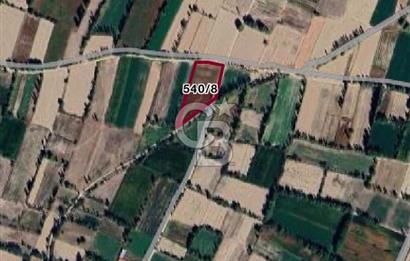 Afyon Çobanlar'da Satılık 4,5 Dönüm Tarla